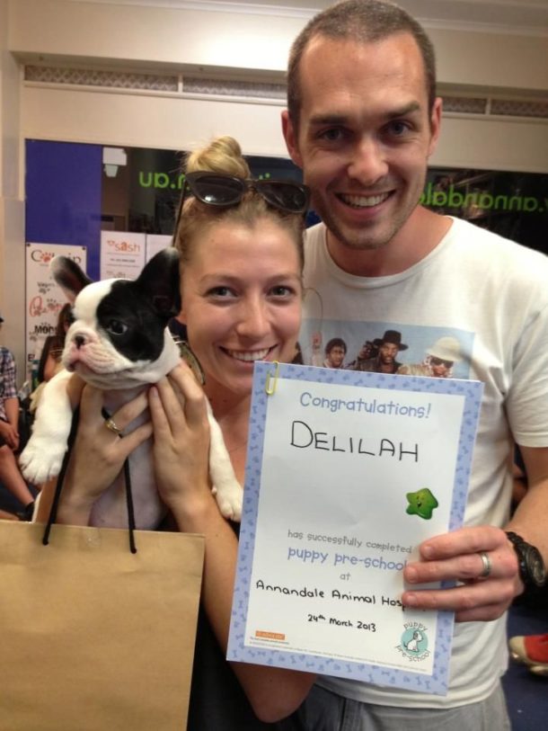 Train Your New Puppy at Annandale Animal Hospital in Annandale!